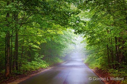 Foggy Rainy Back Road_04861.jpg - Photographed near Orillia, Ontario, Canada.